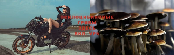 ешки Бугульма