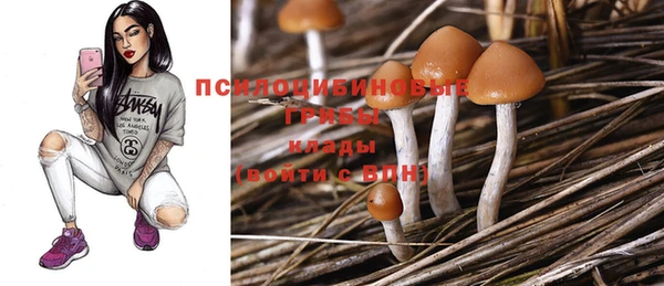 MDMA Premium VHQ Верхний Тагил