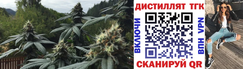 ТГК гашишное масло  как найти наркотики  маркетплейс наркотические препараты  Калач-на-Дону  omg как войти 